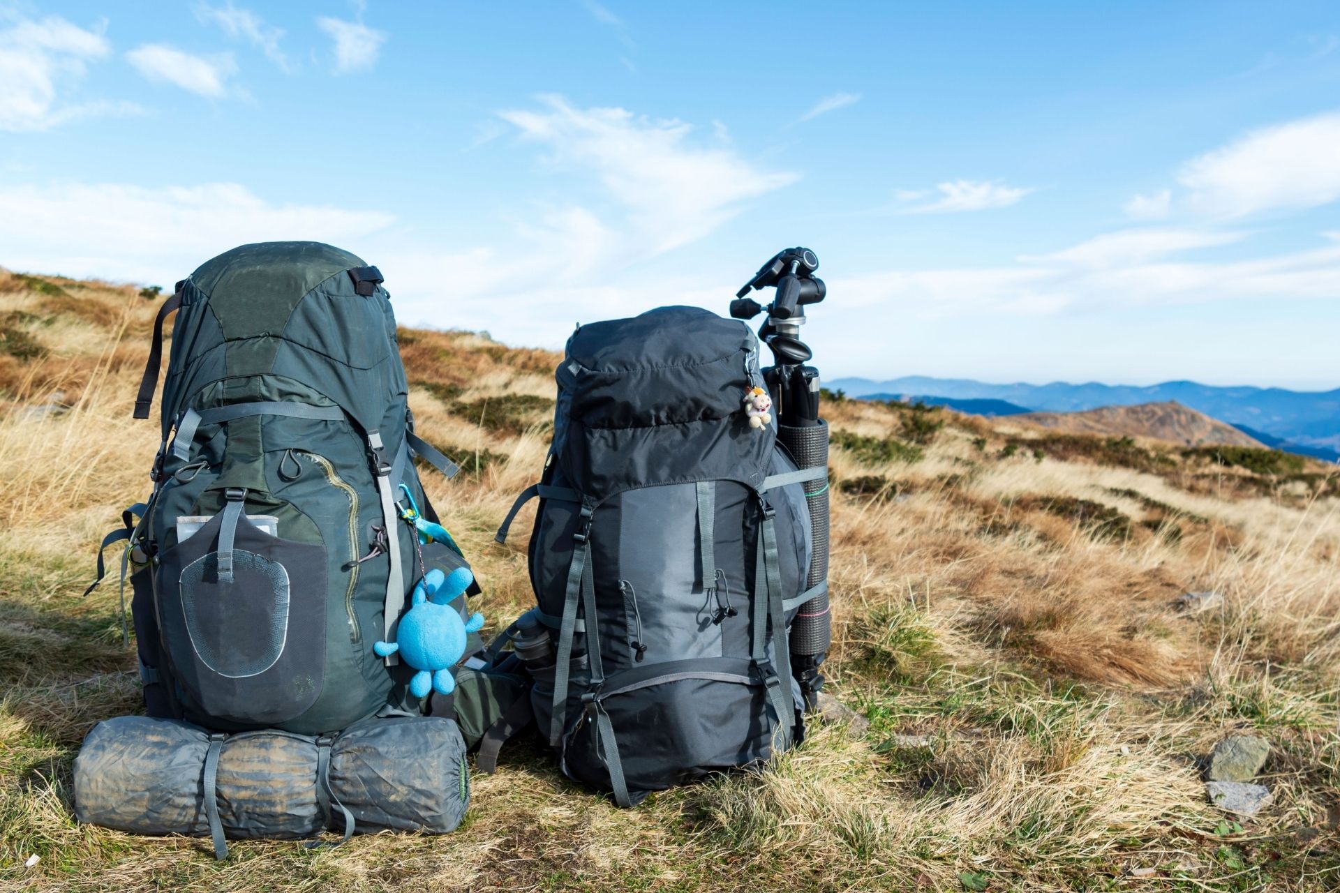 A Hiking Daypack That Fits Your Back Is Worth More Than One That Fits Your Kit List Hiking daypack fit size guide
