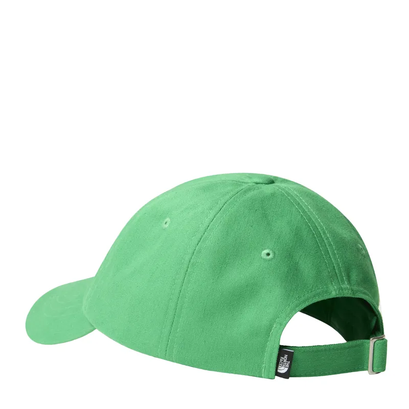 The North Face Adult Norm Cap in Emerald Green -1