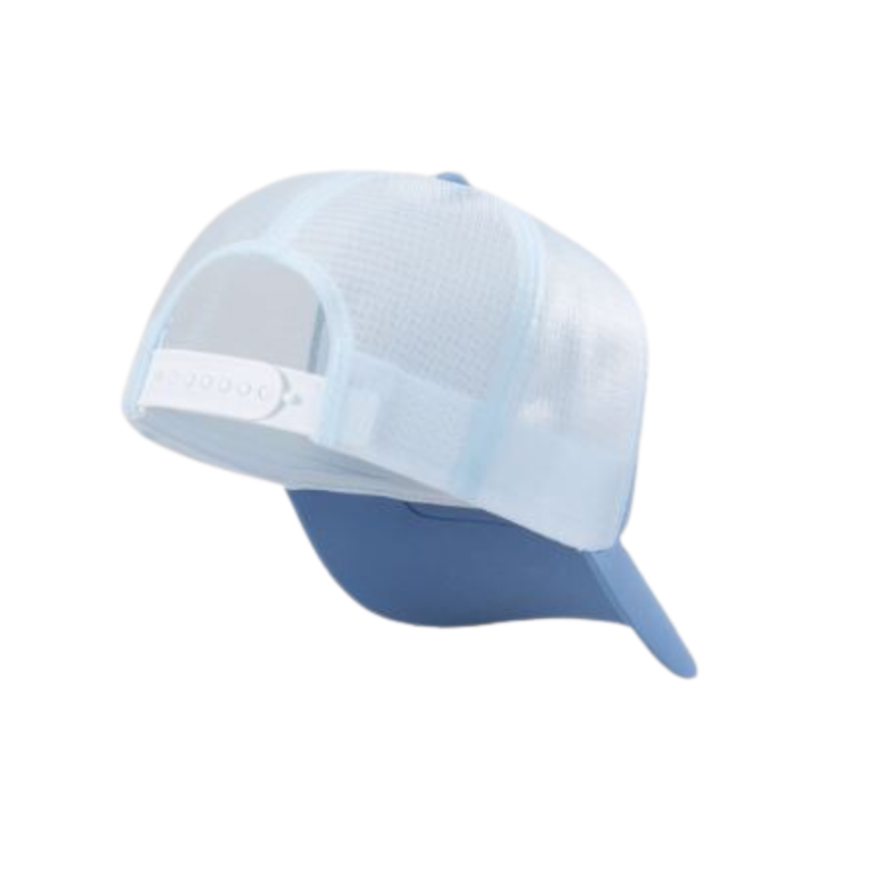 Arc'teryx Unisex Bird Word Trucker Curved in Stone Wash/Daybreak-1