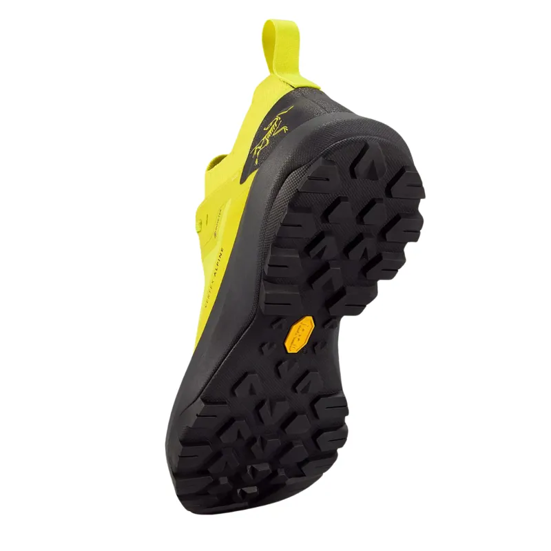 Arc'teryx Men's Vertex Alpine Gore-Tex in Euphoria/Graphite-3