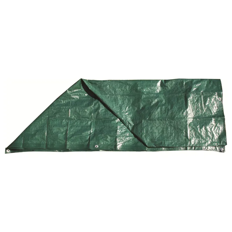 Highlander 6 x 8' P.E. Groundsheet-1