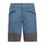 Jack Wolfskin Men's Hiking Alpine Shorts in Elemental Blue