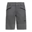 Jack Wolfskin Men's Hiking Alpine Shorts in Slate