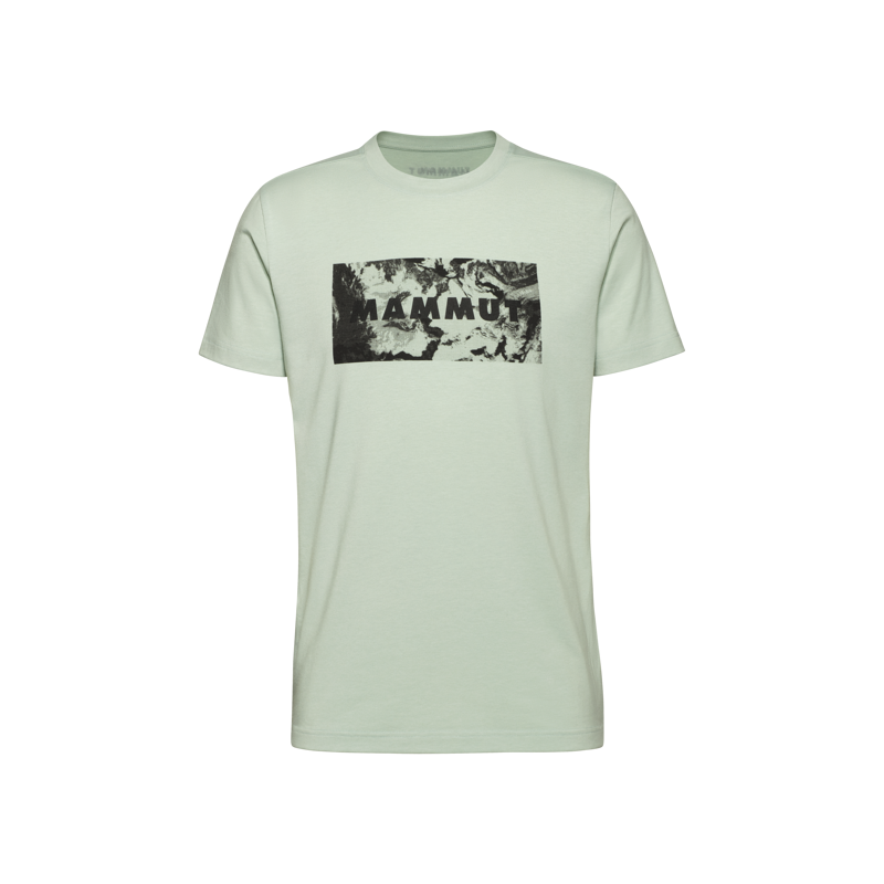 Mammut Men's Trovat Logo T-Shirt in Silver Sage