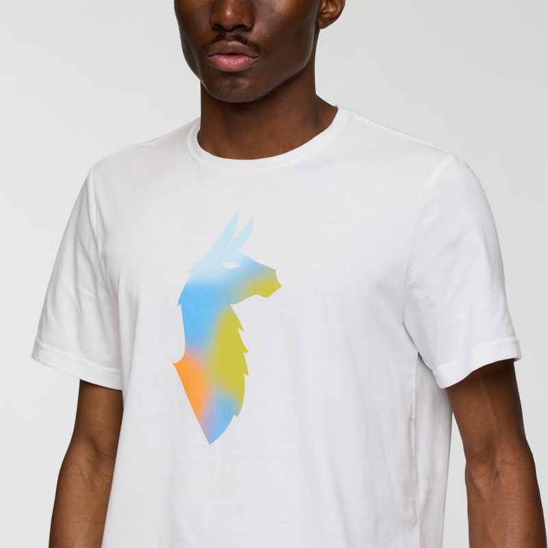 Cotopaxi Men's Bitmap Llama T-Shirt in White-5