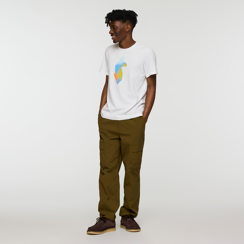 Cotopaxi Men's Bitmap Llama T-Shirt in White-6