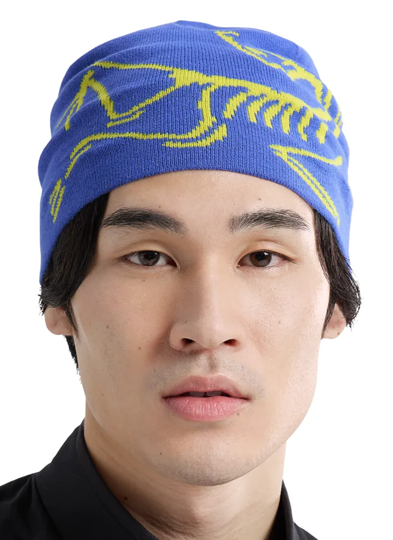 Arc'teryx Lightweight Bird Head Toque in Electra/Euphoria-1