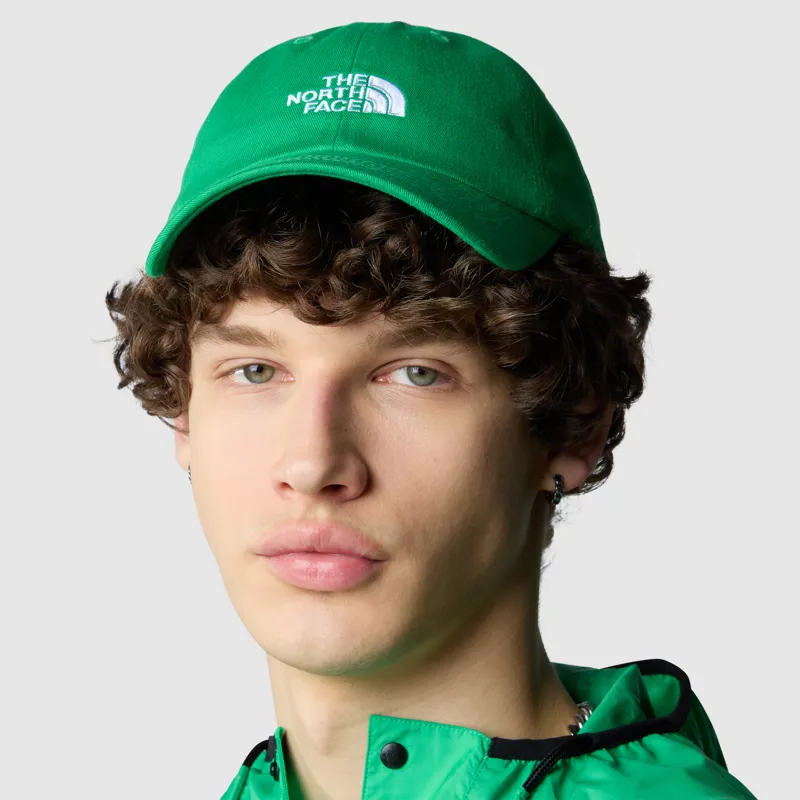The North Face Adult Norm Cap in Emerald Green -2