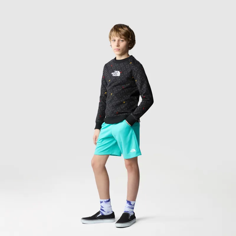 The North Face Boy's Never Stop Shorts in Geyser Aqua-4