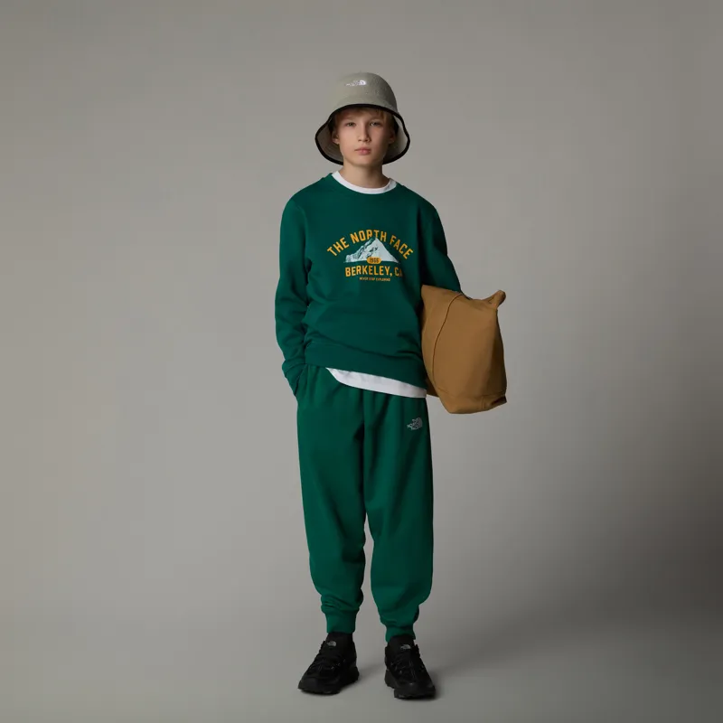 The North Face Teen's Varsity Graphic Relaxed Crew in Evergreen-2