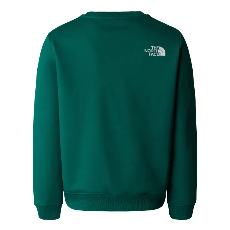 The North Face Teen's Varsity Graphic Relaxed Crew in Evergreen-1