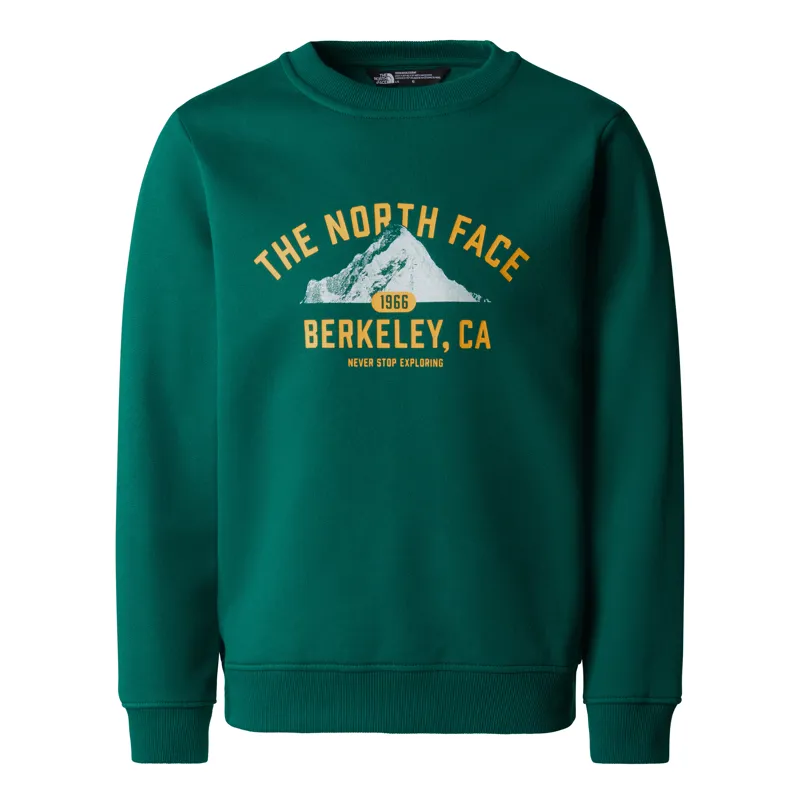 The North Face Teen's Varsity Graphic Relaxed Crew in Evergreen