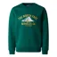 The North Face Teen's Varsity Graphic Relaxed Crew in Evergreen