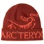 Arc'teryx Bird Word Toque in Sequoia/Solaris