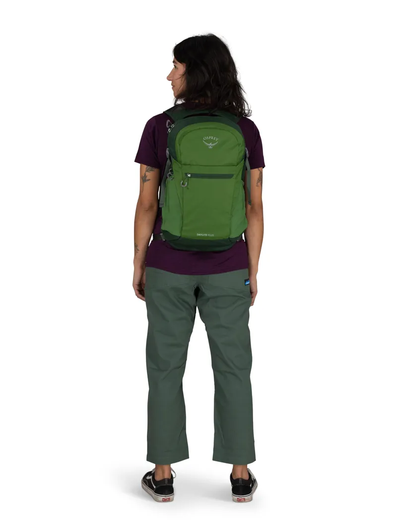 Osprey Daylite Plus 20 in Green Belt/Green Canopy-4