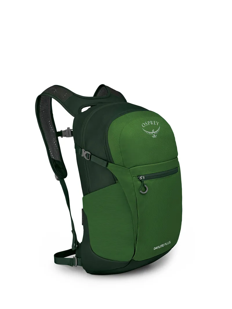 Osprey Daylite Plus 20 in Green Belt/Green Canopy