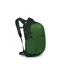 Osprey Daylite Plus 20 in Green Belt/Green Canopy