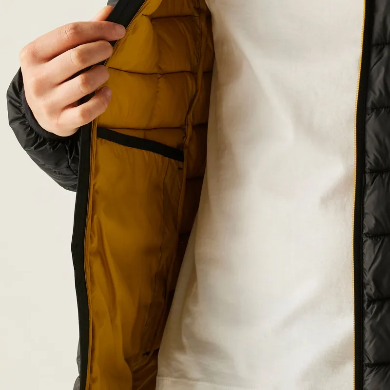 Regatta Men's Asper Padded Jacket in Black-7
