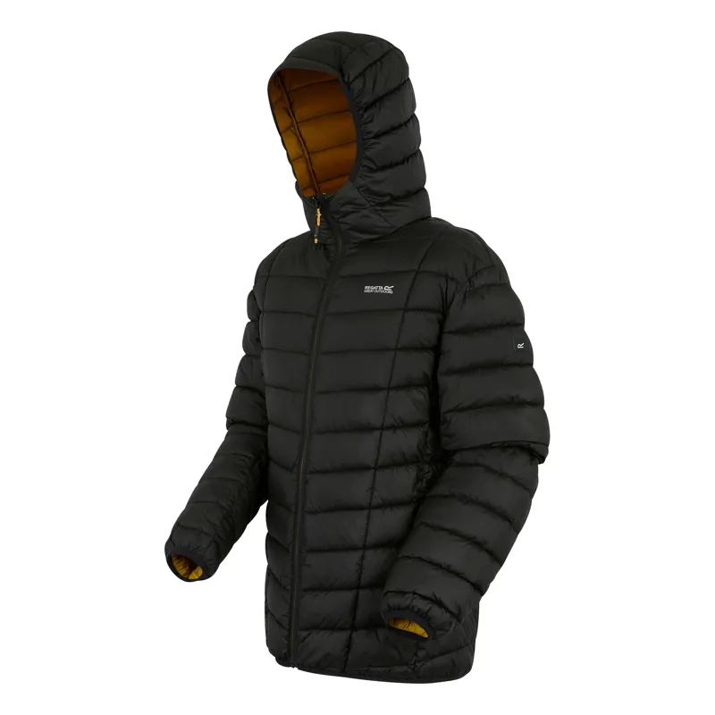 Regatta Men's Asper Padded Jacket in Black-1