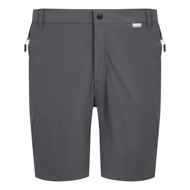 Regatta Men's Mountain II Shorts in Seal Grey/Black