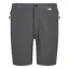 Regatta Men's Mountain II Shorts in Seal Grey/Black