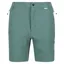 Regatta Men's Mountain Walking Shorts II in Seapin/Ivy