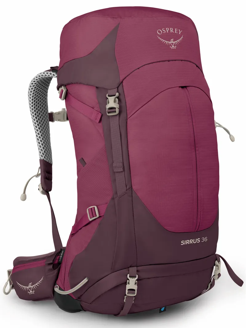 Osprey Sirrus 36 in Elderberry Purple/Chiru Tan 