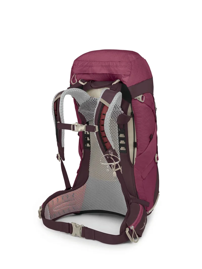 Osprey Sirrus 36 in Elderberry Purple/Chiru Tan -2