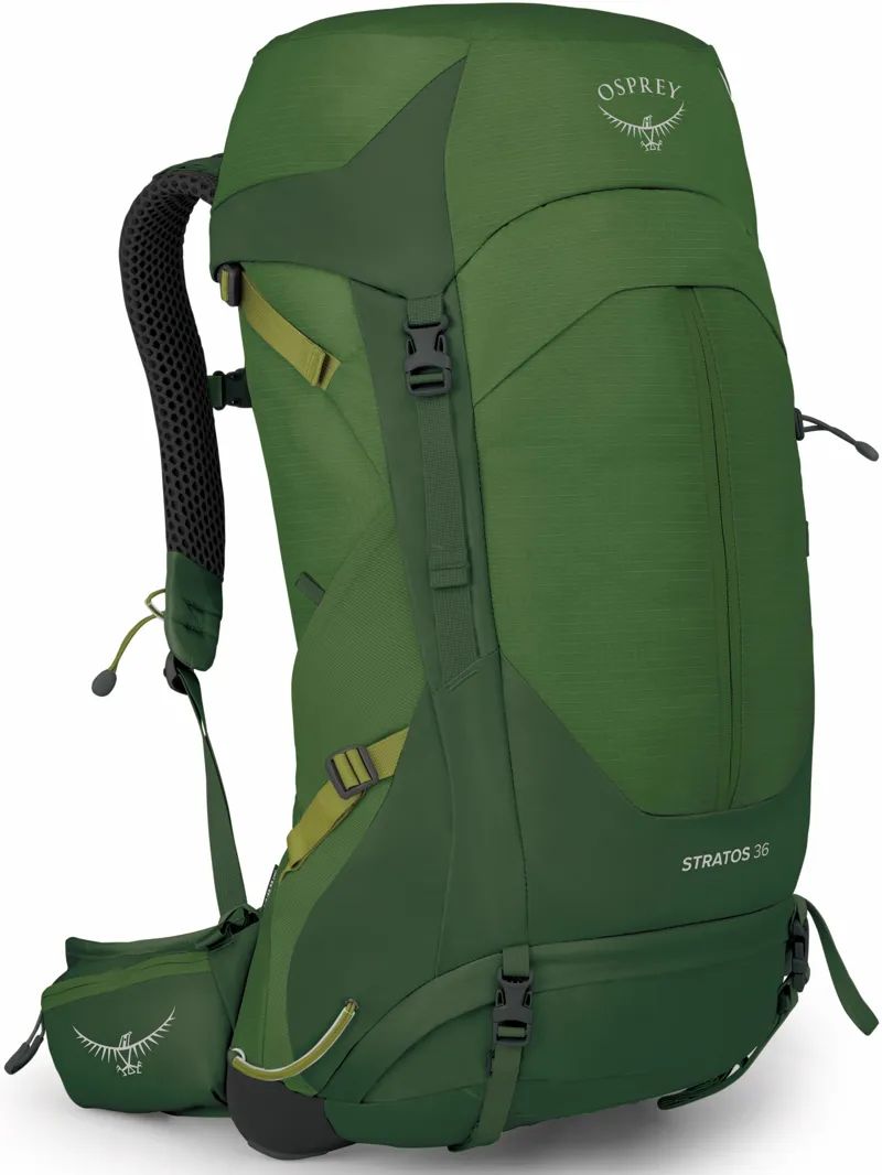 Osprey Stratos 36 in Seaweed/Matcha Green 