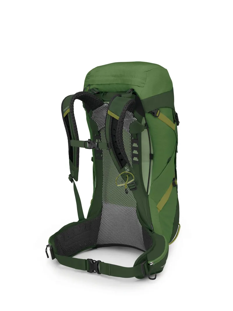Osprey Stratos 36 in Seaweed/Matcha Green -2