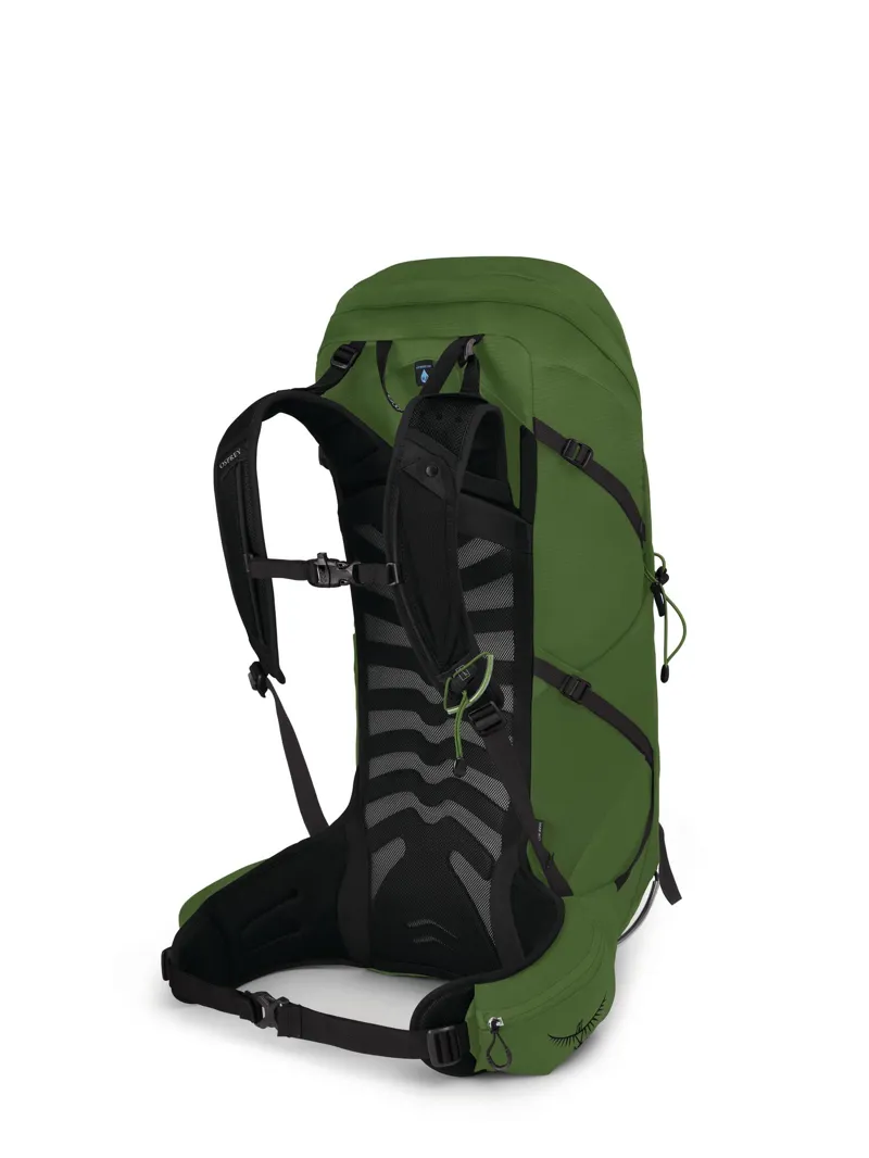 Osprey Talon 36 in Green Belt/Black-2