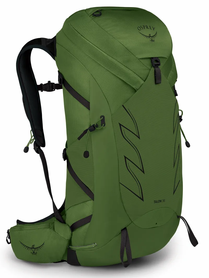 Osprey Talon 36 in Green Belt/Black