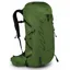 Osprey Talon 36 in Green Belt/Black