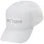 Arc'teryx Bird Word Trucker Hat in Solitude/Arctic Silk