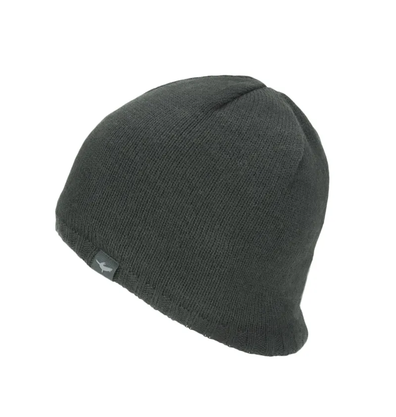 SEALSKINZ WATERPROOF COLD WEATHER BEANIE BLACK
