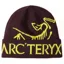 Arc'teryx Bird Word Toque in Phantasm/Euphoria