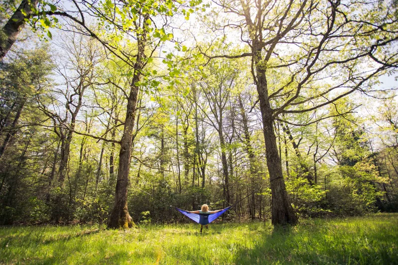 Eno Atlas Strap XL in Black-3