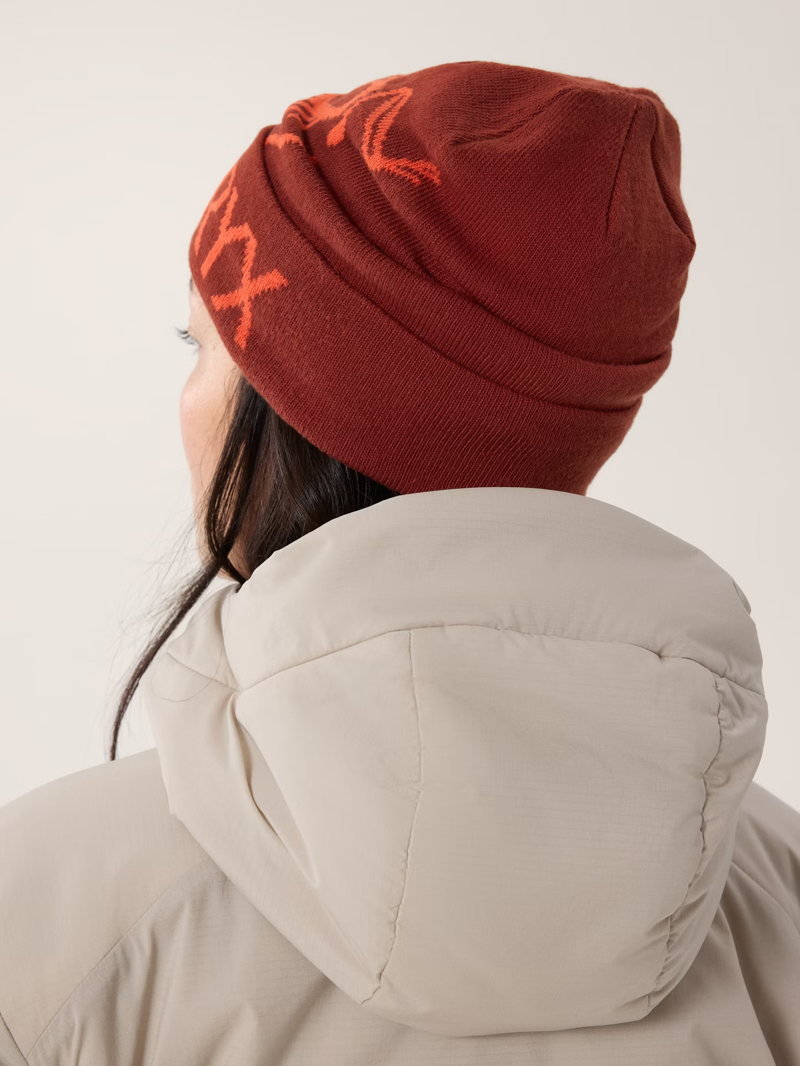 Arc'teryx Bird Word Toque in Sequoia/Solaris-3