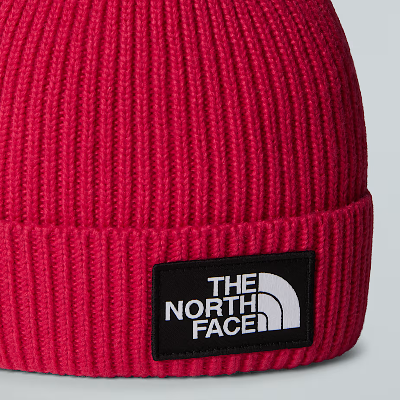 The North Face Kid's Logo Box Cuffed Beanie in Lali Guran-1