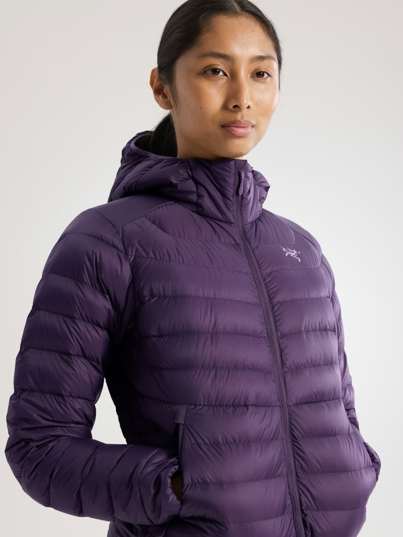 Arc'teryx Women's Cerium Hoody in Moondrop-7