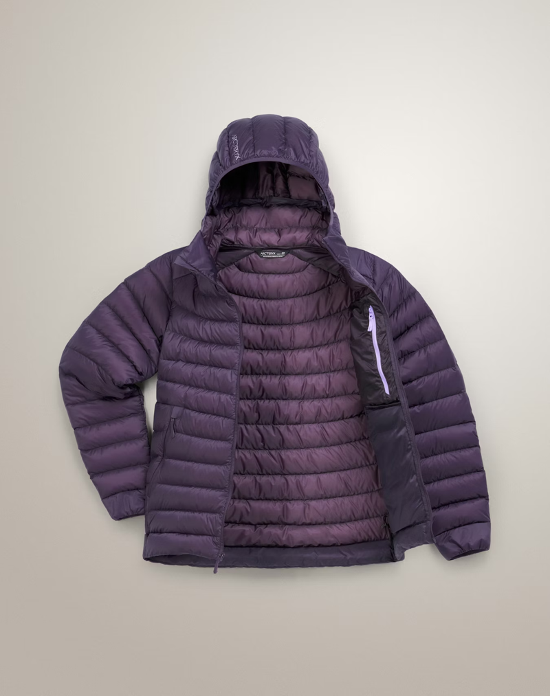 Arc'teryx Women's Cerium Hoody in Moondrop-2