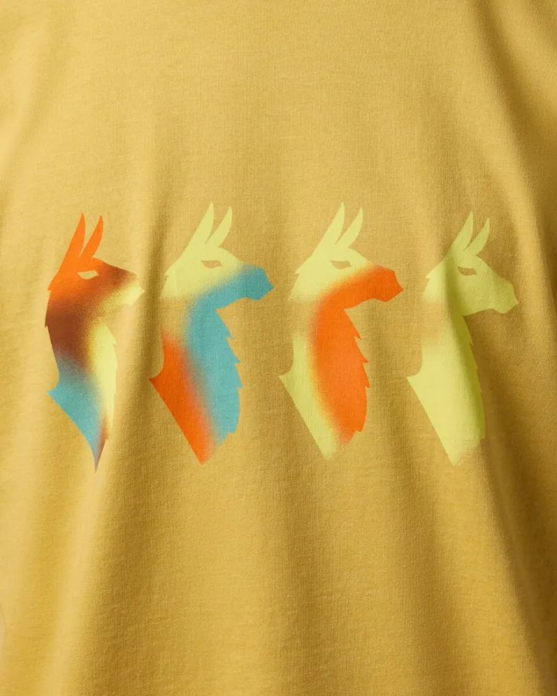 Cotopaxi Men's Cuatro Bitmap T-Shirt in Husk-3