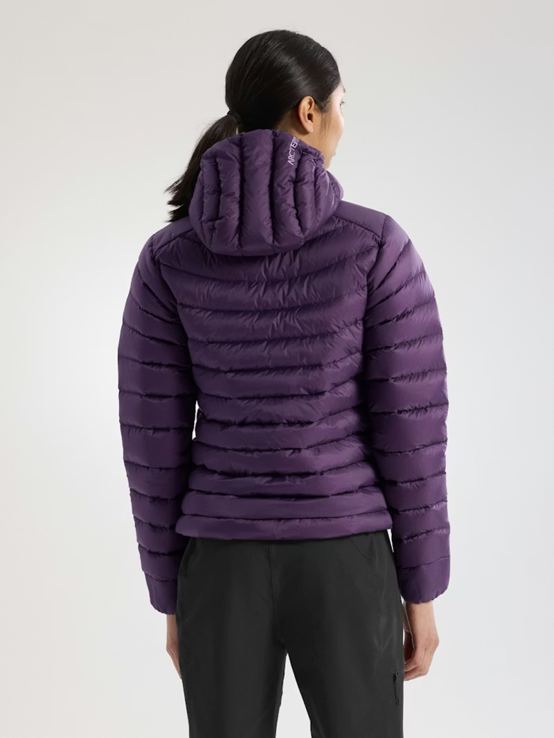 Arc'teryx Women's Cerium Hoody in Moondrop-5