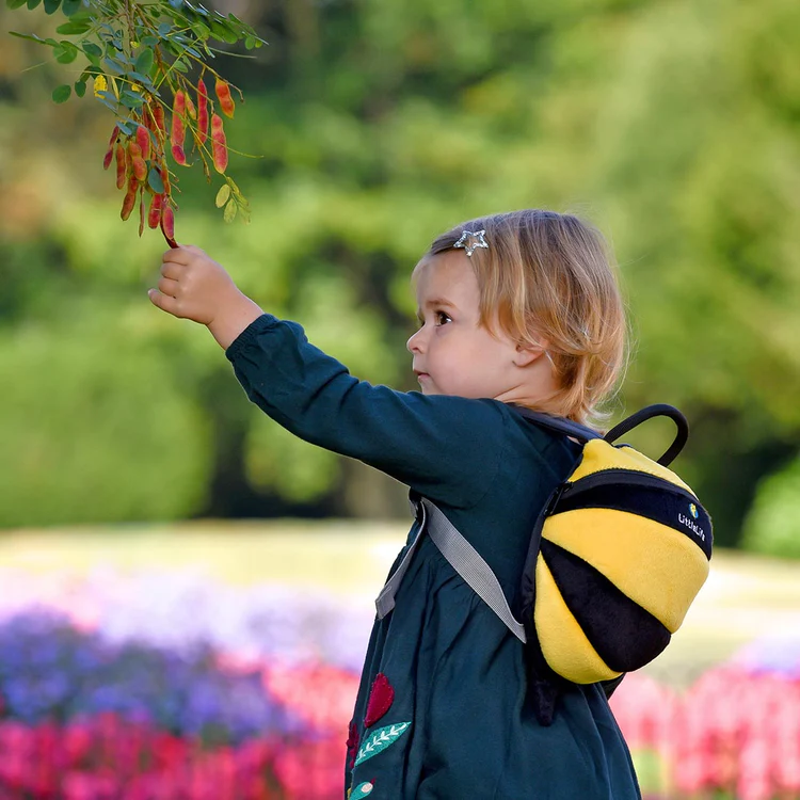 LittleLife Toddler Backpack in Bee-5