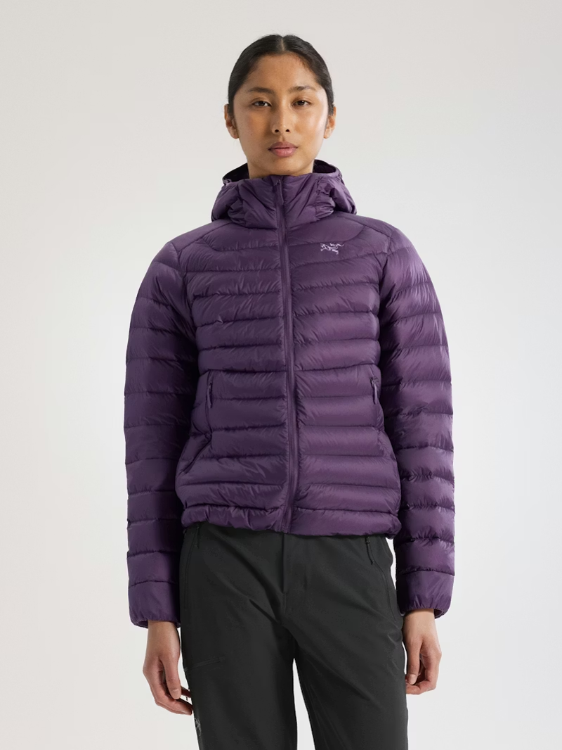 Arc'teryx Women's Cerium Hoody in Moondrop-3