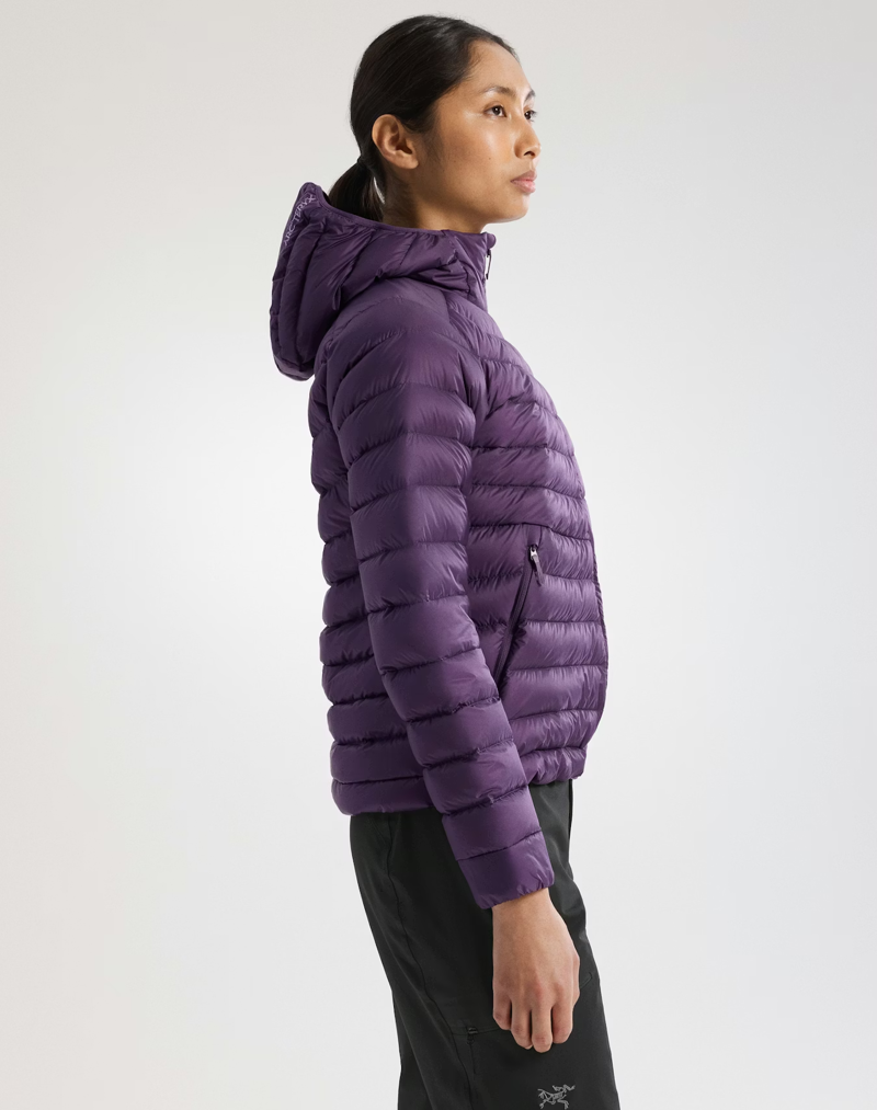 Arc'teryx Women's Cerium Hoody in Moondrop-4
