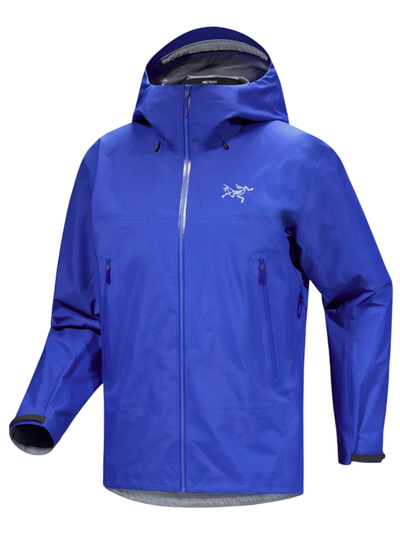 Arc'teryx Men's Beta SL Jacket in Vitality II