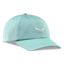 Salewa Eagle Logo Cap in Willow