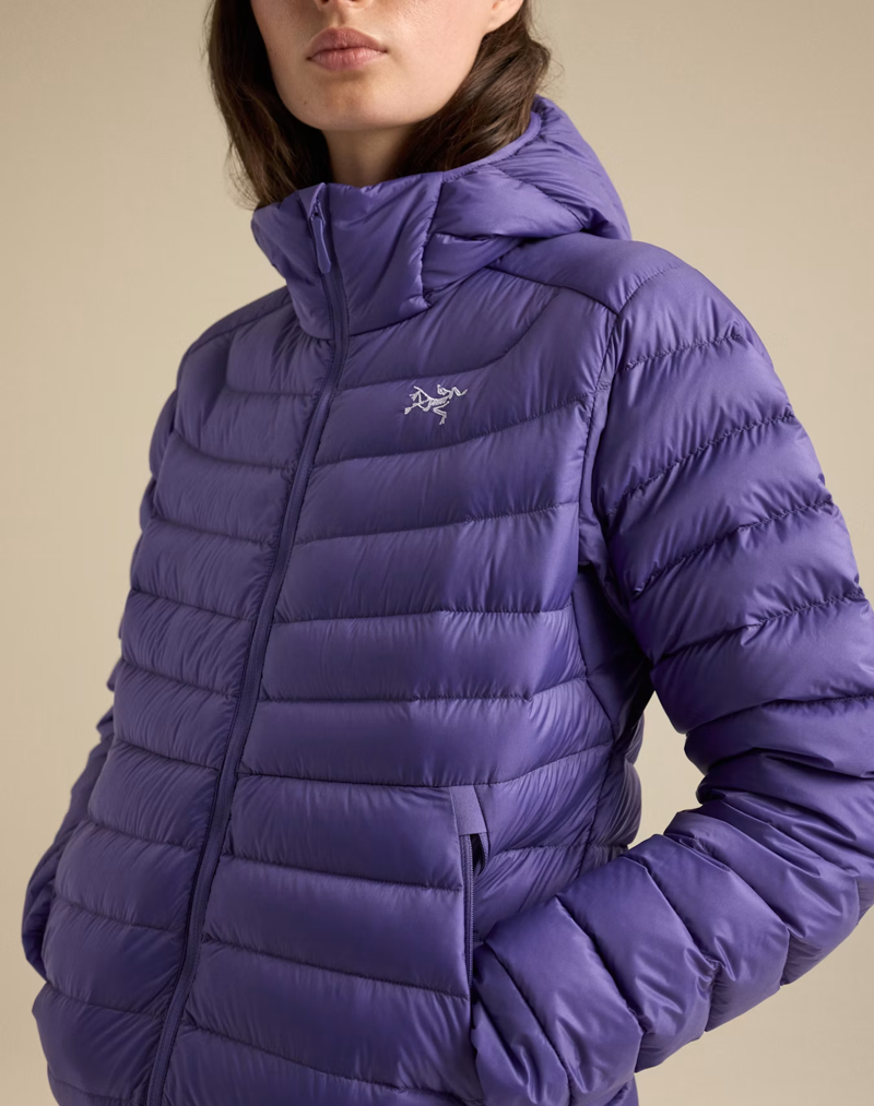 Arc'teryx Women's Cerium Hoody in Blurple-6
