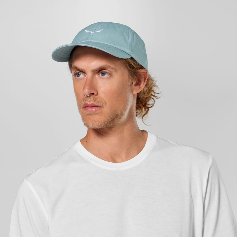 Salewa Eagle Logo Cap in Willow-2